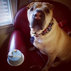 Meet your Posher, Meredith